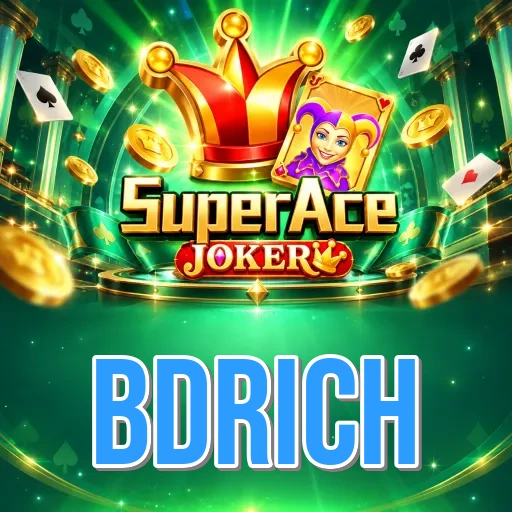 Developer Info bdrich