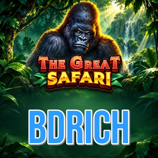 Mission and Vision of bdrich
