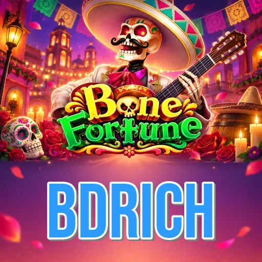 Installation Guide - bdrich Expert Tutorial